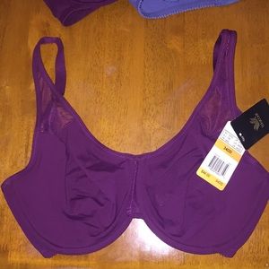Body by Wacoal Bras